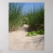 Beach Grass, Warren Dunes, MI ポスター (正面)