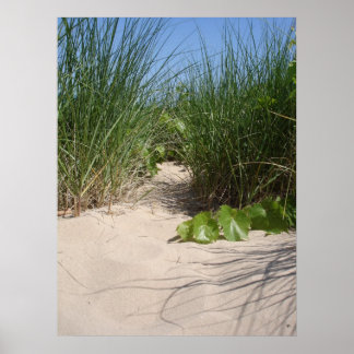 Beach Grass, Warren Dunes, MI ポスター