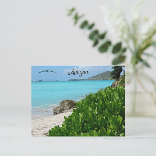 Beach in Antigua ポストカード (スタンド正面)