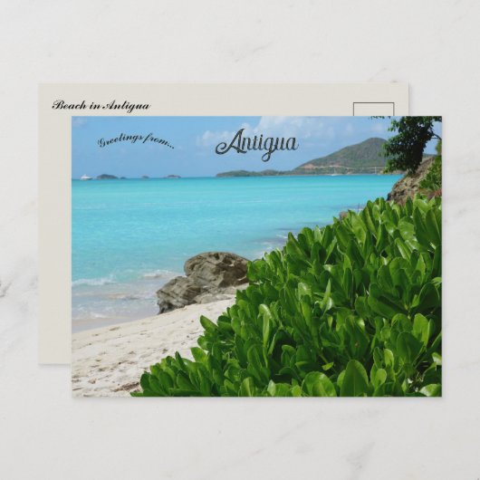 Beach in Antigua ポストカード (正面/裏面)