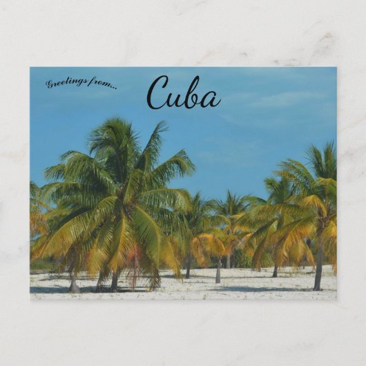 Beach in Cuba ポストカード (正面)