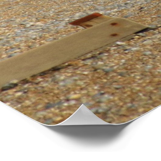 Beach obsessed. ポスター (角)