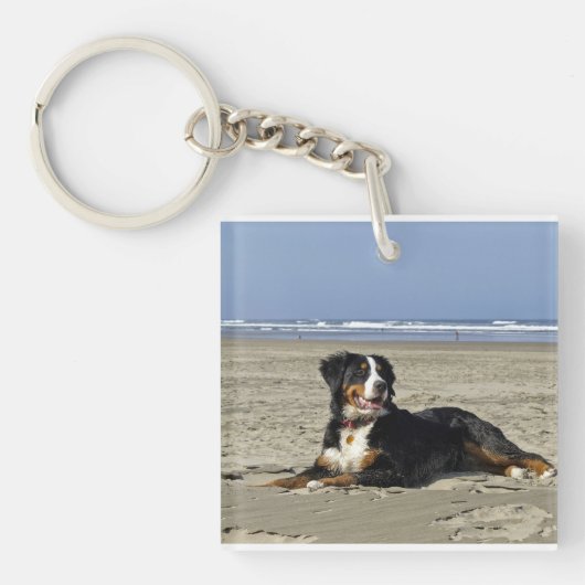 beach.pngのbernese山犬layin キーホルダー (正面)