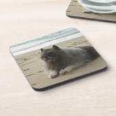 beach.pngのkeeshond コースター (左側)
