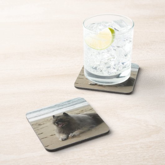 beach.pngのkeeshond コースター (右側)