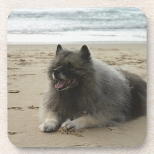 beach.pngのkeeshond コースター
