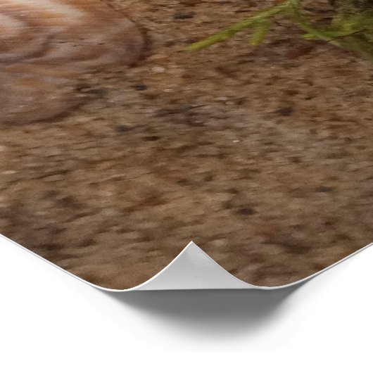 Beach Poster: Love ポスター (角)