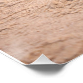 Beach Puggy ポスター (コーナー)