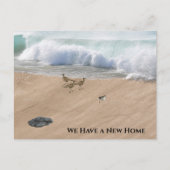 Beach Scene Change of Address ポストカード (正面)