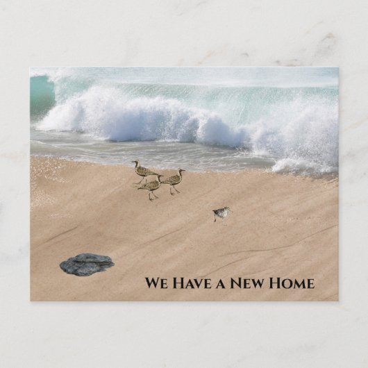 Beach Scene Change of Address ポストカード (正面)