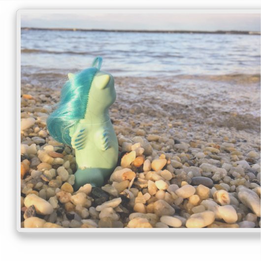 Beachcomber Baby Sea Pony at the Beach シール (正面)