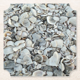 Beachcomber Shell Scatter ペーパーコースター