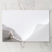 Beachcombingウェスティフォトラージメモ帳 ペーパーパッド (折り畳み)