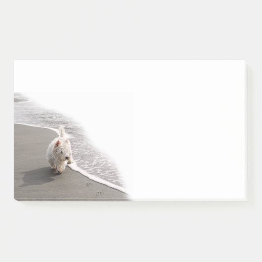 Beachcombing Westie写真10x6ポストイットノート ポストイット (正面)