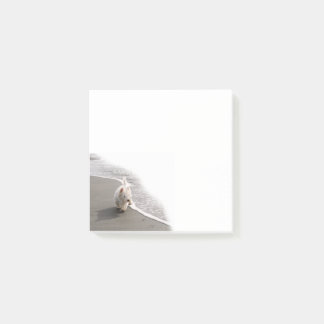 Beachcombing Westie写真3x3メモ ポストイット