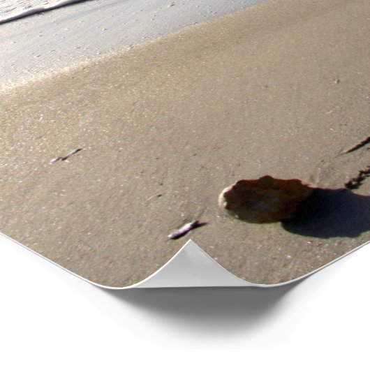 Beachwriteの世界は毎朝新しい ポスター (角)