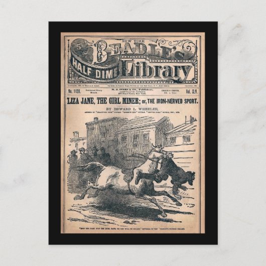 Beadles Half Dime Library No. 1120 1901 ポストカード (正面)