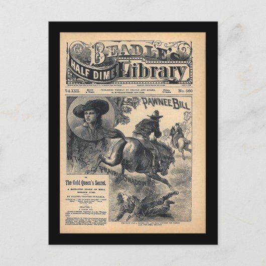 Beadles Half Dime Library Vol.22 No 560 1888 ポストカード (正面)
