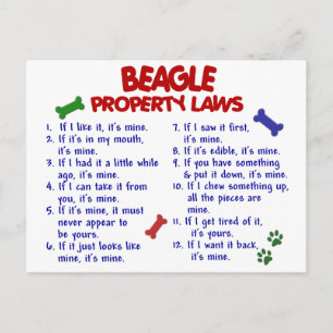 BEAGLE財産法2 ポストカード
