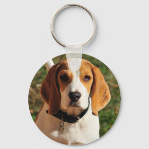 Beagle キーホルダー