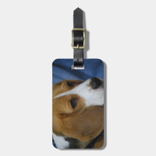 beagle-31.jpg ラゲッジタグ (正面縦)