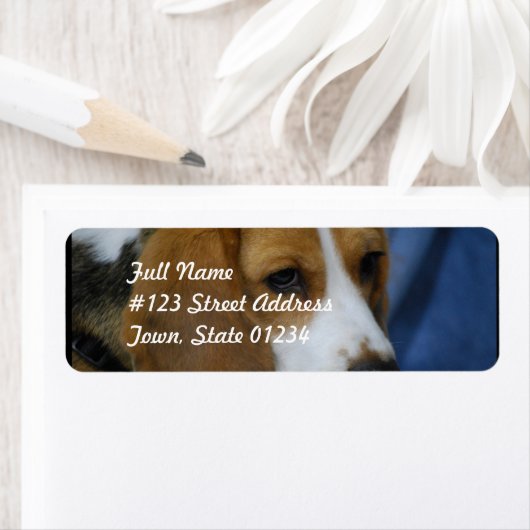 beagle-31.jpg ラベル (インサイチュ)