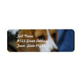 beagle-31.jpg ラベル (正面)