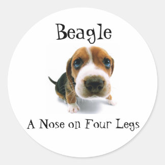 Beagle - 4本脚の鼻 ラウンドシール