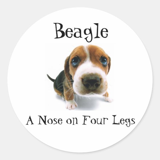 Beagle - 4本脚の鼻 ラウンドシール (正面)