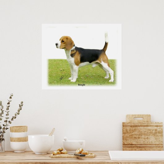 Beagle 9J27D-02 ポスター (キッチン)