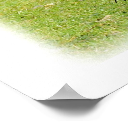 Beagle 9J27D-02 ポスター (角)