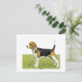 Beagle 9J27D-02 ポストカード (スタンド正面)