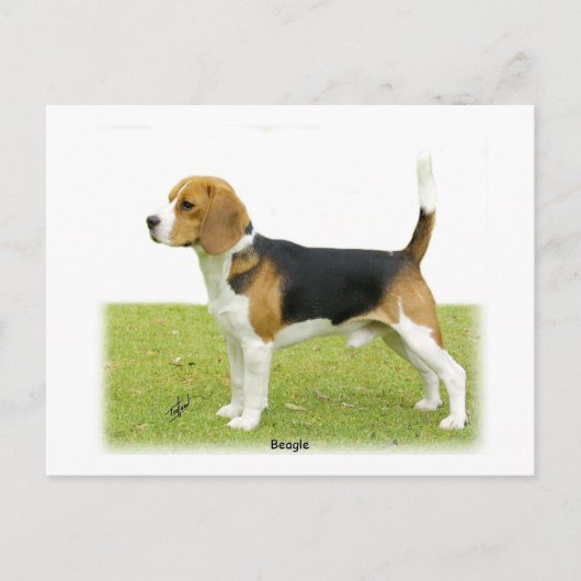 Beagle 9J27D-02 ポストカード (正面)