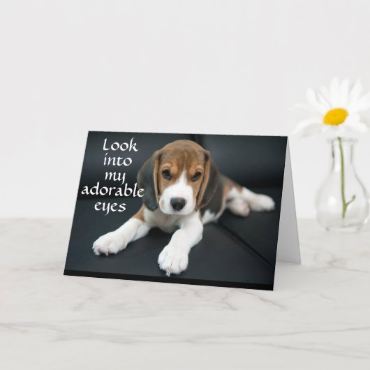 BEAGLE BEGS "Have A ハッピーバースデー"カード カード (小さな植物)