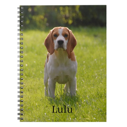 Beagle Dogの写真と名前パーソナライズされた ノートブック (正面)