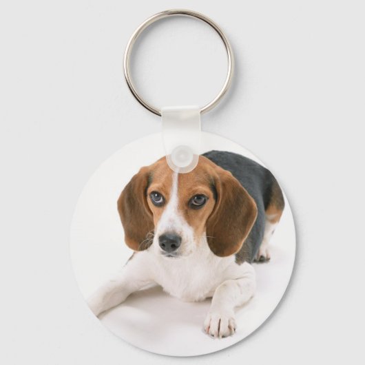 Beagle Dog Keychain キーホルダー (正面)