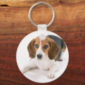 Beagle Dog Keychain キーホルダー (正面)