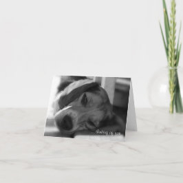 Beagle Dog Snoopyクローズアップ写真 カード