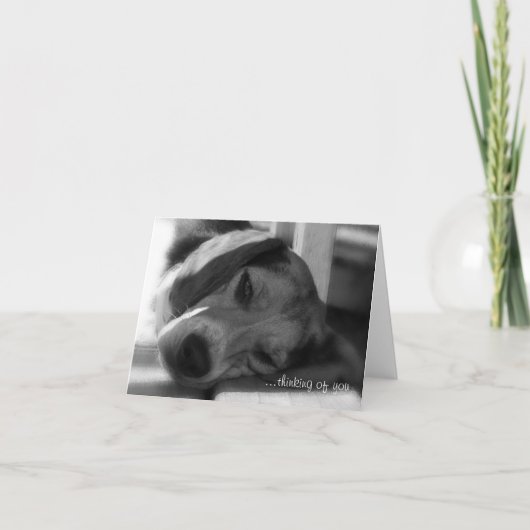 Beagle Dog Snoopyクローズアップ写真 カード (正面)