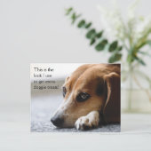 Beagle "Extra Doggie Treets"ポストカード ポストカード (スタンド正面)