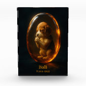 Beagle Memorial フォトブロック (正面)