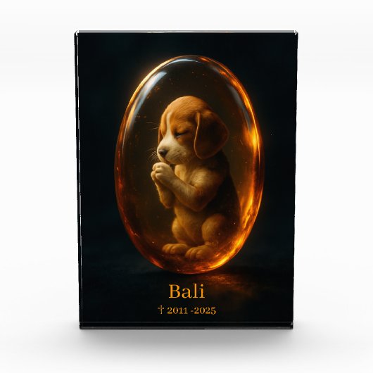 Beagle Memorial  フォトブロック (正面)