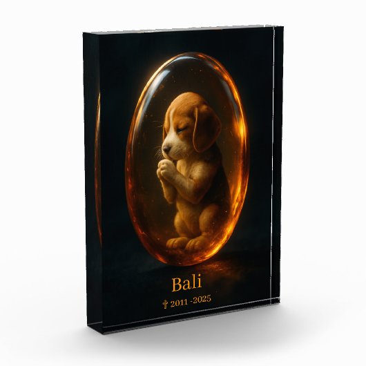 Beagle Memorial  フォトブロック (左)