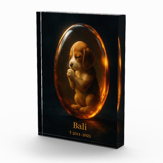 Beagle Memorial  フォトブロック (右)