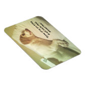 Beagle Photo "いくつかのスリープを取得しようとしている" 3x4マグネット マグネット (右側)