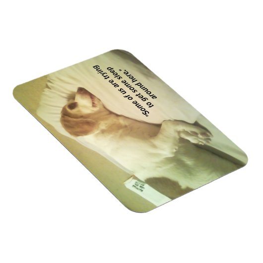 Beagle Photo "いくつかのスリープを取得しようとしている" 3x4マグネット マグネット (右側)