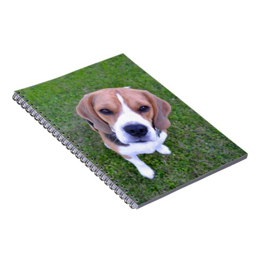 Beagle Portrait Notebook ノートブック (右側)