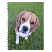 Beagle Portrait Notebook ノートブック (正面)
