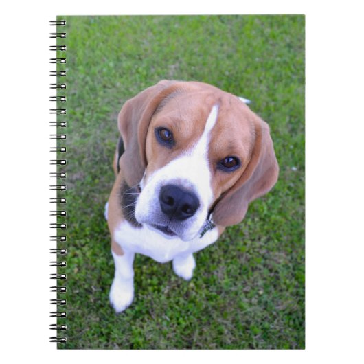 Beagle Portrait Notebook ノートブック (正面)