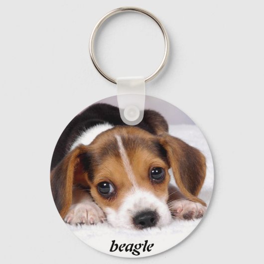 beagle-puppies-wallpaper-11.jpg, beagle キーホルダー (正面)
